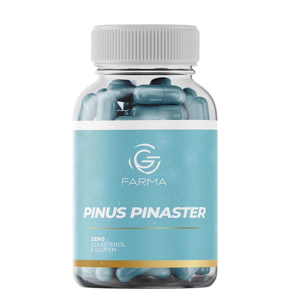 PINUS PINASTER 120 Cápsulas