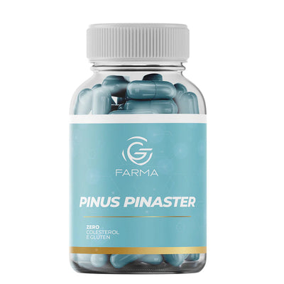 Pinus Pinaster 50 mg 60 Cápsulas