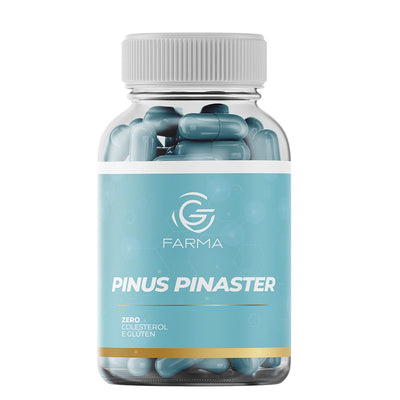 PINUS PINASTER