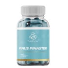 PINUS PINASTER 30 Cápsulas